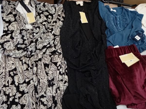 LADIES DESIGNER SMALL LOT, SHELF PULLS, 5521426, 20 units, PA image 2