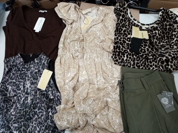 LADIES DESIGNER SMALL LOT, SHELF PULLS, 5521426, 20 units, PA image 3