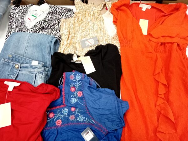 LADIES DESIGNER SMALL LOT, SHELF PULLS, 5521430, 24 units, PA image 3