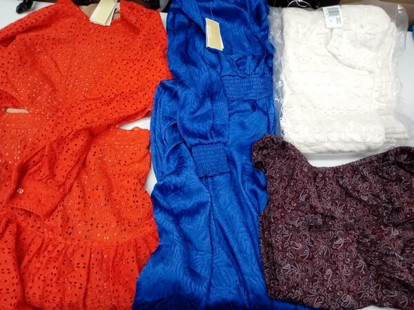 LADIES DESIGNER SMALL LOT, SHELF PULLS, 5521447, 26 units, PA image 3