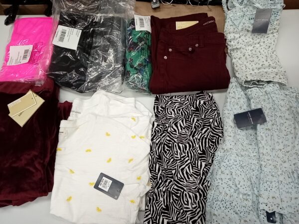 LADIES DESIGNER SMALL LOT, SHELF PULLS, 5521447, 26 units, PA image 2