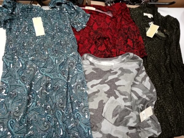 LADIES DESIGNER SMALL LOT, SHELF PULLS, 5521453, 36 units, PA image 3