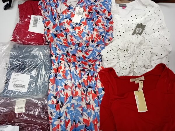 LADIES DESIGNER SMALL LOT, SHELF PULLS, 5521457, 31 units, PA image 2