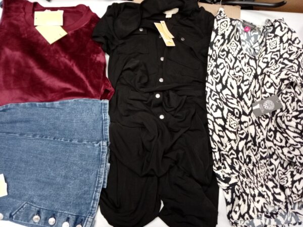 LADIES DESIGNER SMALL LOT, SHELF PULLS, 5521457, 31 units, PA image 3