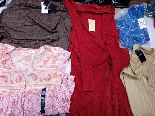 LADIES DESIGNER SMALL LOT, SHELF PULLS, 5521458, 32 units, PA image 2