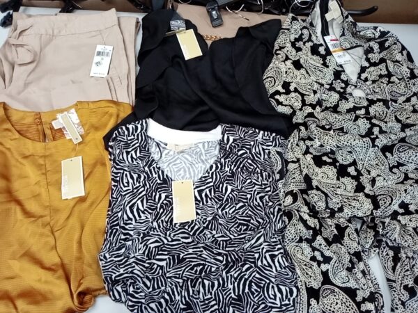 LADIES DESIGNER SMALL LOT, SHELF PULLS, 5521461, 28 units, PA image 1