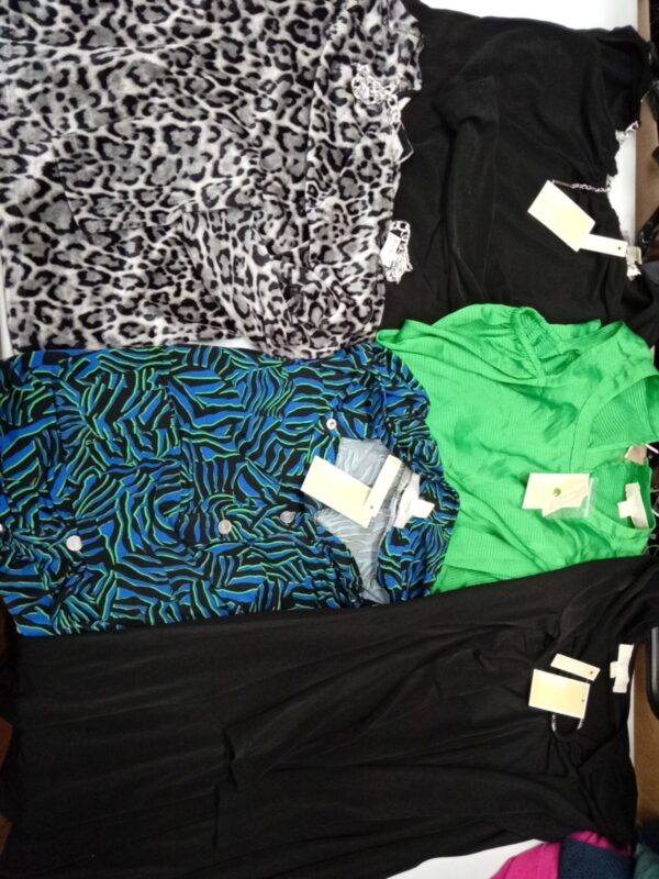 LADIES DESIGNER SMALL LOT, SHELF PULLS, 5521469, 33 units, PA image 1