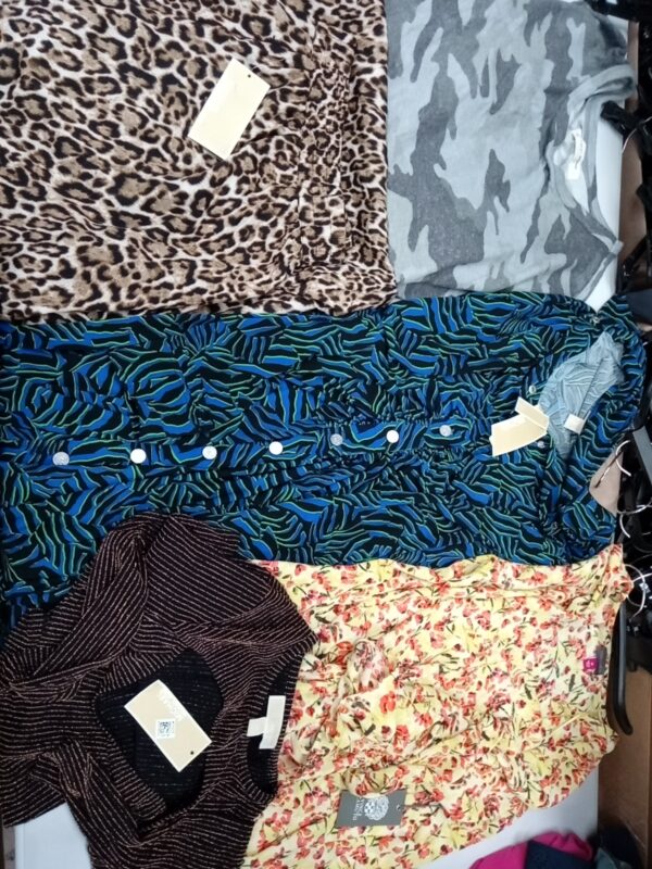 LADIES DESIGNER SMALL LOT, SHELF PULLS, 5521469, 33 units, PA image 4