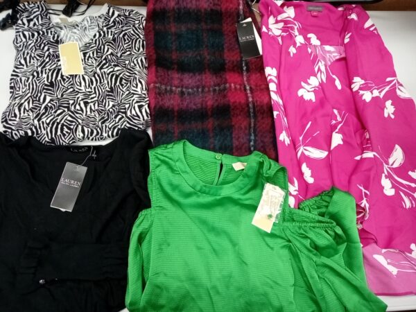 LADIES DESIGNER SMALL LOT, SHELF PULLS, 5521470, 30 units, PA image 2