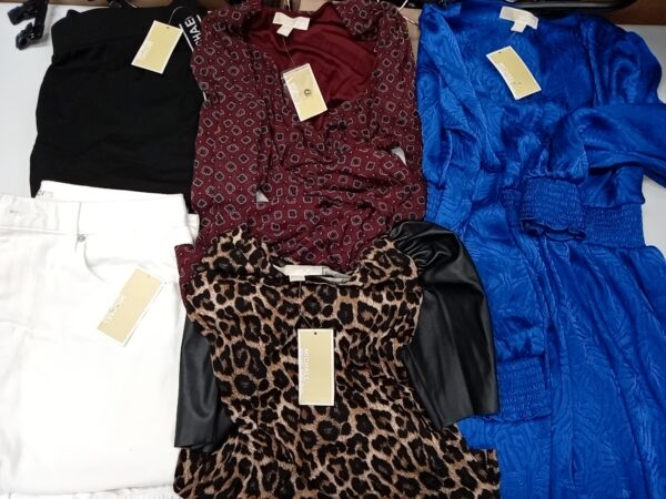 LADIES DESIGNER SMALL LOT, SHELF PULLS, 5521481, 27 units, PA image 2