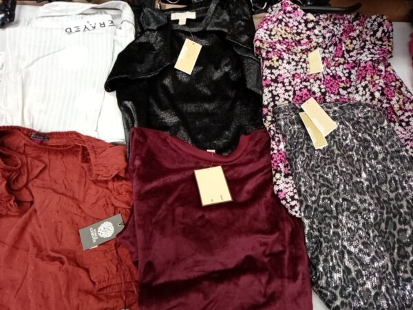 LADIES DESIGNER SMALL LOT, SHELF PULLS, 5521482, 30 units, PA image 3