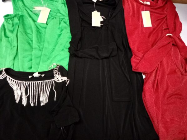 LADIES DESIGNER SMALL LOT, SHELF PULLS, 5521484, 39 units, PA image 4