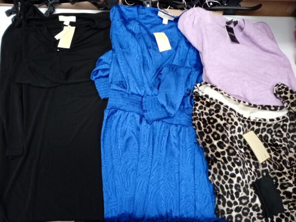 LADIES DESIGNER SMALL LOT, SHELF PULLS, 5521485, 31 units, PA image 1