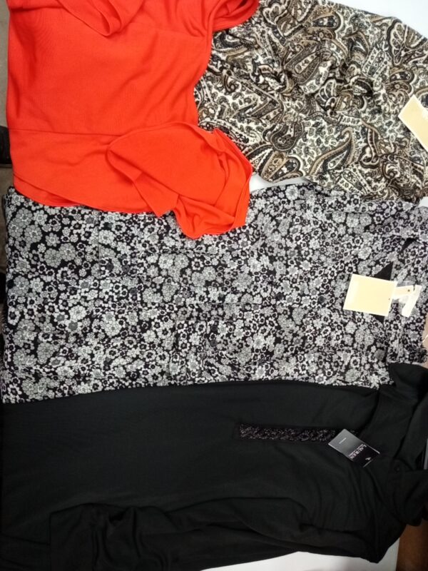 LADIES DESIGNER SMALL LOT, SHELF PULLS, 5521485, 31 units, PA image 2