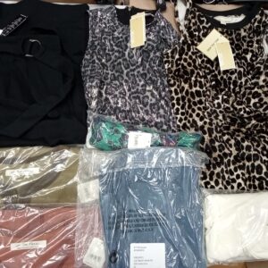 LADIES DESIGNER SMALL LOT, SHELF PULLS, 5521487, 35 units, PA image 1