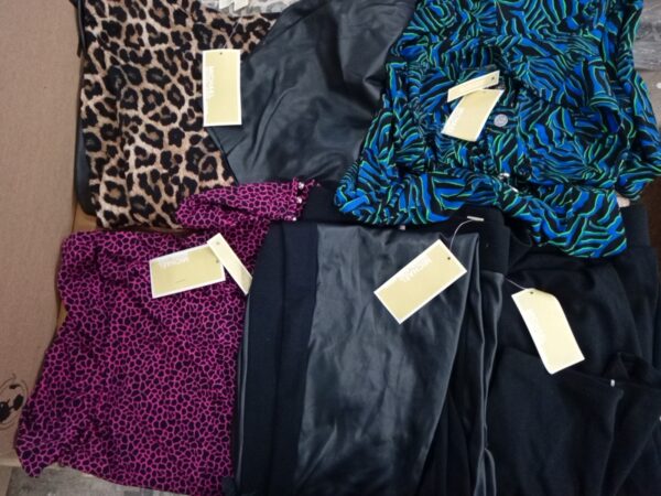 LADIES DESIGNER SMALL LOT, SHELF PULLS, 5521518, 31 units, PA image 1