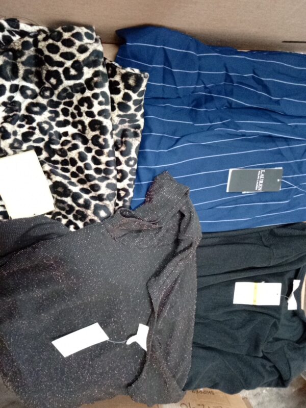 LADIES PLUS SIZE SMALL LOT, SHELF PULLS, 5521249, 22 units, PA image 1