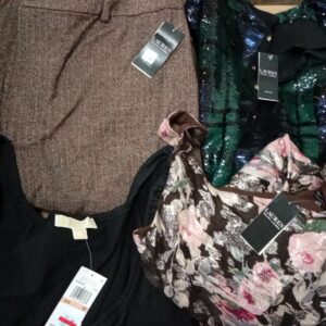 LADIES PLUS SIZE SMALL LOT, SHELF PULLS, 5521249, 22 units, PA image 3