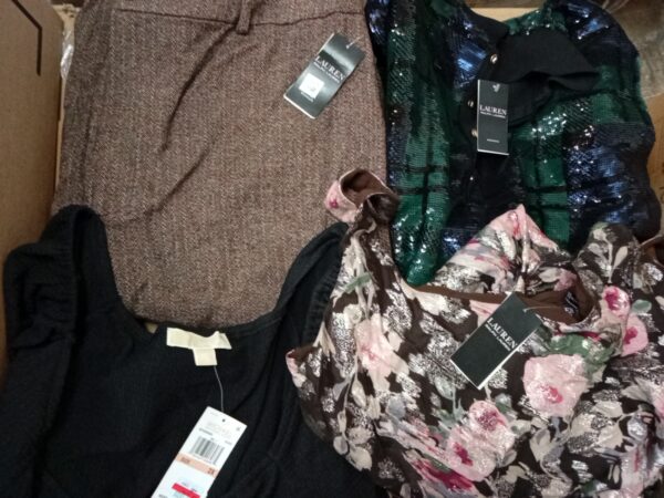 LADIES PLUS SIZE SMALL LOT, SHELF PULLS, 5521249, 22 units, PA image 3