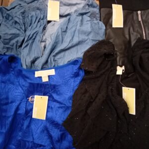 LADIES PLUS SIZE SMALL LOT, SHELF PULLS, 5521249, 22 units, PA image 2