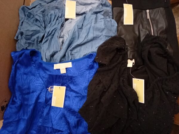 LADIES PLUS SIZE SMALL LOT, SHELF PULLS, 5521249, 22 units, PA image 2
