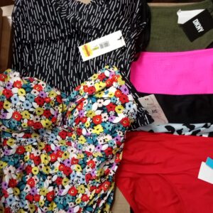 LADIES SWIMWEAR SMALL LOT, SHELF PULLS, 5520676, 36 units, PA image 2