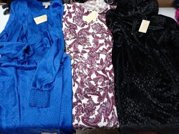 LADIES DESIGNER SMALL LOT, SHELF PULLS, 5521467, 29 units, PA image 3