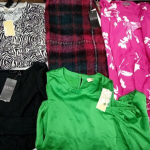 LADIES DESIGNER SMALL LOT, SHELF PULLS, 5521470, 30 units, PA image 2
