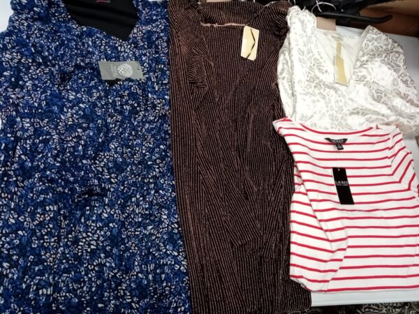 LADIES DESIGNER SMALL LOT, SHELF PULLS, 5521483, 31 units, PA image 5