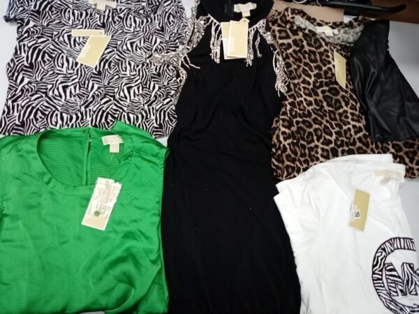 LADIES DESIGNER SMALL LOT, SHELF PULLS, 5521487, 35 units, PA image 2