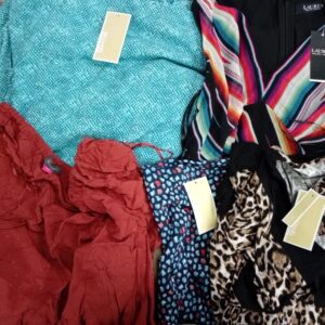 LADIES DESIGNER SMALL LOT, SHELF PULLS, 5521527, 36 units, PA image 3