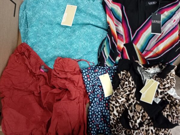 LADIES DESIGNER SMALL LOT, SHELF PULLS, 5521527, 36 units, PA image 3