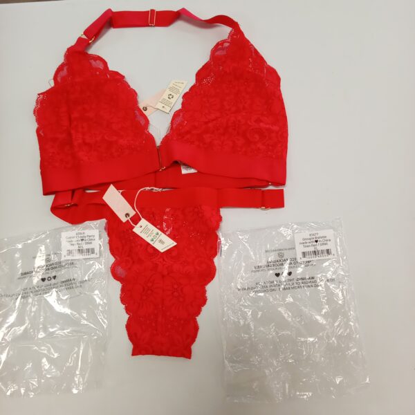 LADIES INTIMATE SMALL LOT, SHELF PULLS, 5522049, 27 units, PA image 2