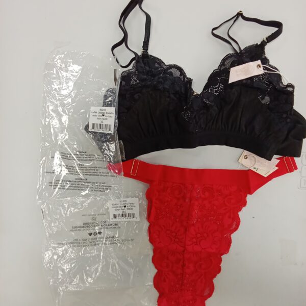 LADIES INTIMATE SMALL LOT, SHELF PULLS, 5522055, 28 units, PA image 2