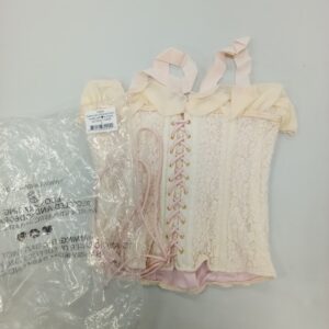 LADIES INTIMATE SMALL LOT, SHELF PULLS, 5522074, 31 units, PA image 2