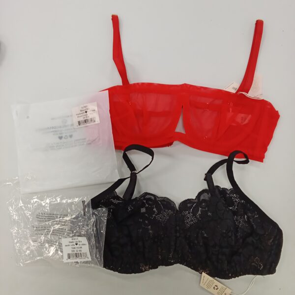 LADIES INTIMATE SMALL LOT, SHELF PULLS, 5522080, 30 units, PA image 2