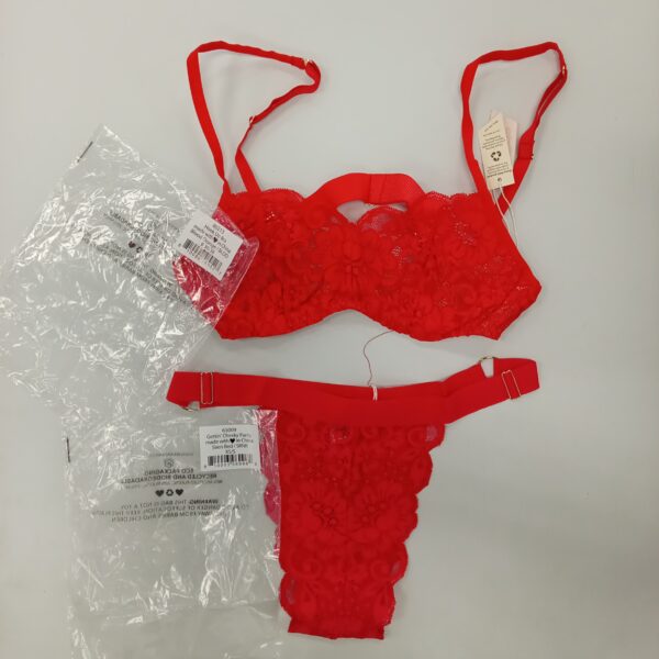 LADIES INTIMATE SMALL LOT, SHELF PULLS, 5522083, 33 units, PA image 4