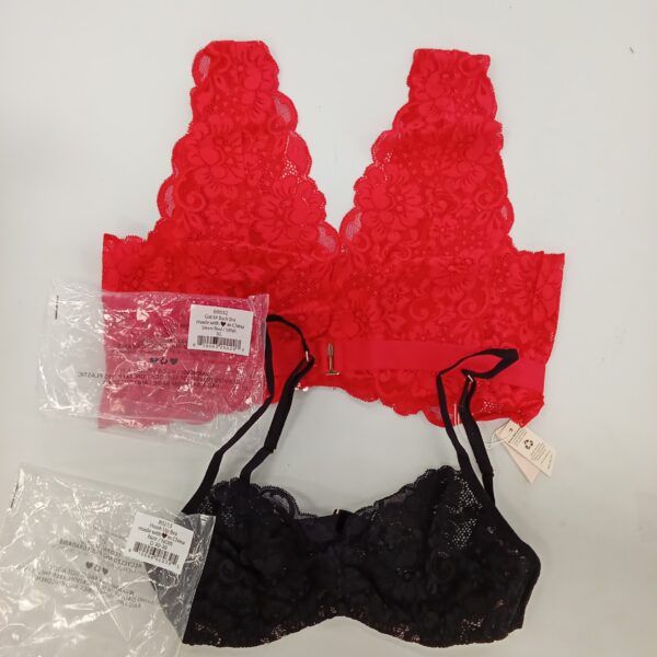 LADIES INTIMATE SMALL LOT, SHELF PULLS, 5522086, 26 units, PA image 2