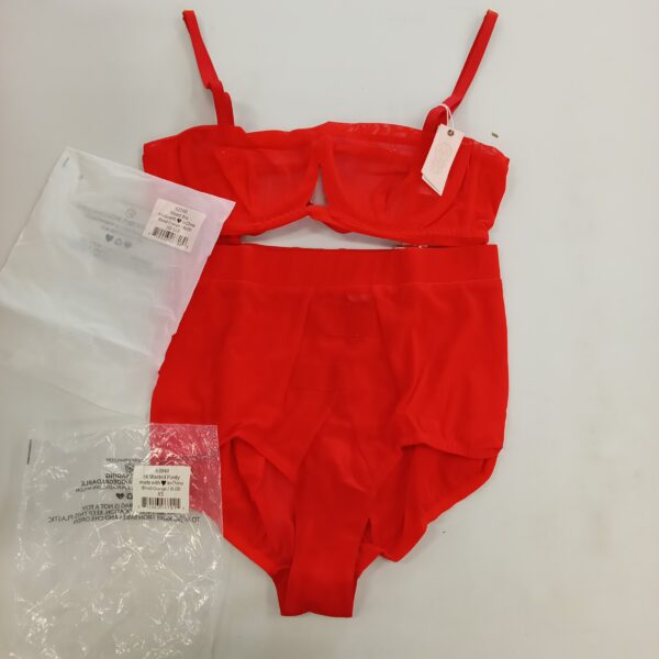 LADIES INTIMATE SMALL LOT, SHELF PULLS, 5522136, 35 units, PA image 4