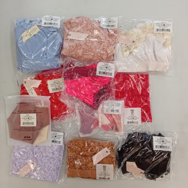 LADIES INTIMATE SMALL LOT, SHELF PULLS, 5522211, 35 units, PA image 1