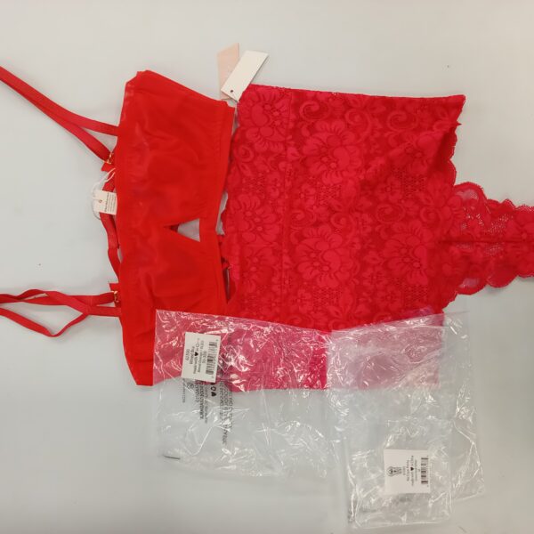 LADIES INTIMATE SMALL LOT, SHELF PULLS, 5522211, 35 units, PA image 2