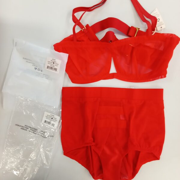 LADIES INTIMATE SMALL LOT, SHELF PULLS, 5522260, 21 units, PA image 4