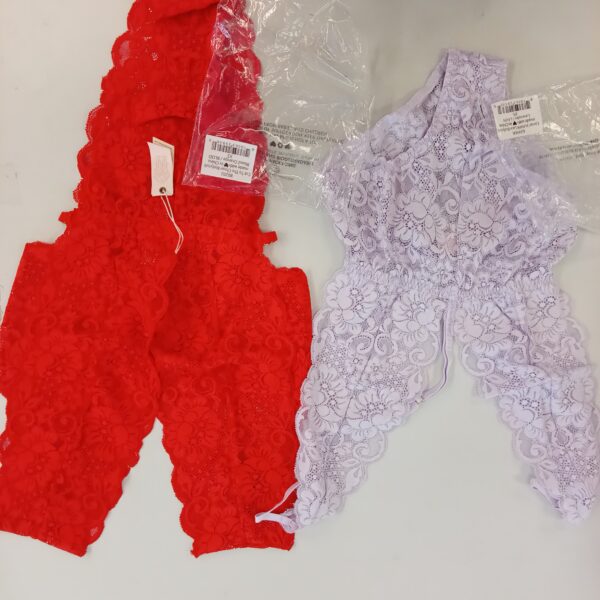 LADIES INTIMATE SMALL LOT, SHELF PULLS, 5522262, 25 units, PA image 2