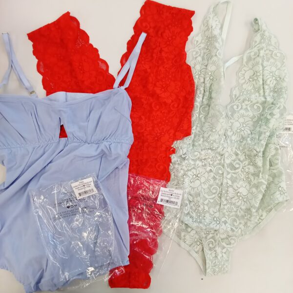 LADIES INTIMATE SMALL LOT, SHELF PULLS, 5522263, 24 units, PA image 2