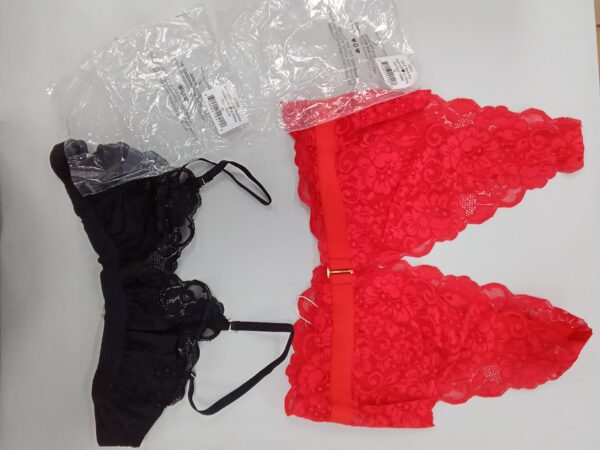 LADIES INTIMATE SMALL LOT, SHELF PULLS, 5522067, 24 units, PA image 2