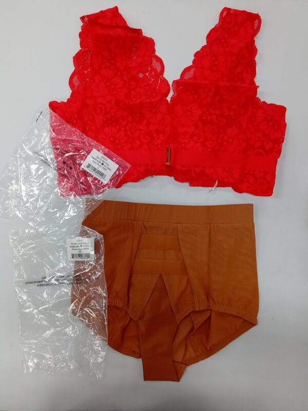 LADIES INTIMATE SMALL LOT, SHELF PULLS, 5522069, 21 units, PA image 2