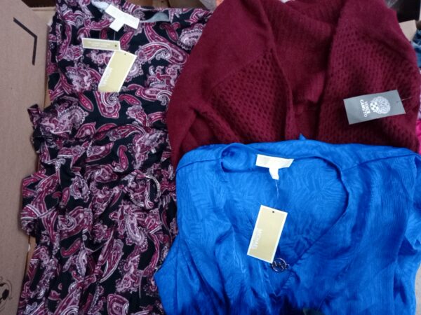 LADIES DESIGNER SMALL LOT, SHELF PULLS, 5521525, 41 units, PA image 4