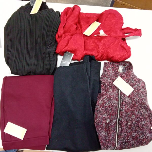 LADIES DESIGNER SMALL LOT, SHELF PULLS, 5522039, 14 units, PA image 2