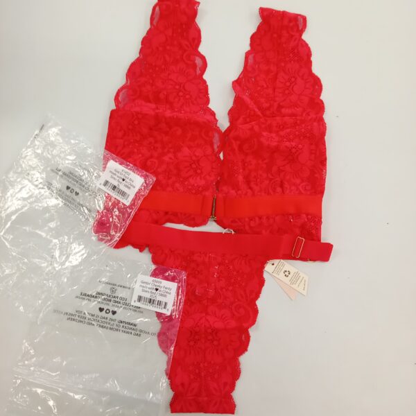 LADIES INTIMATE SMALL LOT, SHELF PULLS, 5522127, 33 units, PA image 3