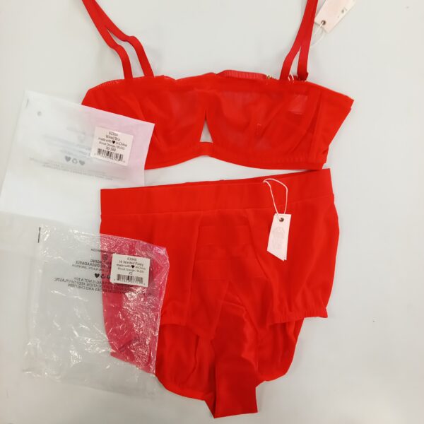 LADIES INTIMATE SMALL LOT, SHELF PULLS, 5522267, 28 units, PA image 3
